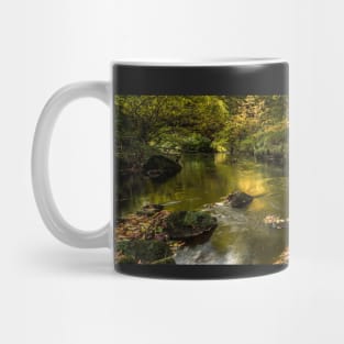 West Beck, Gothland, North Yorkshire Mug